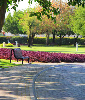Ajman - Al Jurf Park - pic